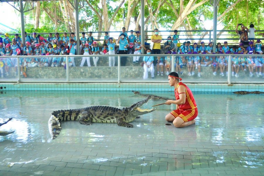 The Million Years Stone Park & Pattaya Crocodile Farm